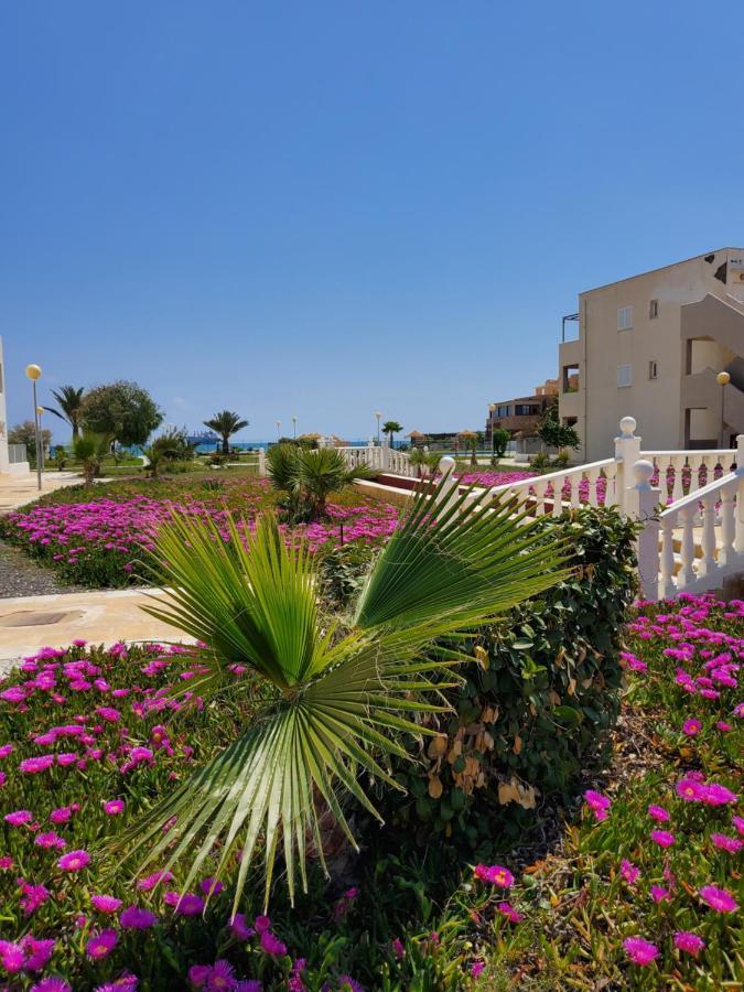 Casa Baja Naturista Con Patio En Primera Linea De Playa Con Piscina Comunitaria! เบรา ภายนอก รูปภาพ