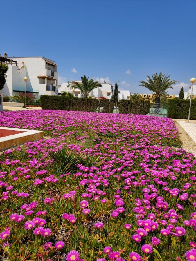 Casa Baja Naturista Con Patio En Primera Linea De Playa Con Piscina Comunitaria! เบรา ภายนอก รูปภาพ